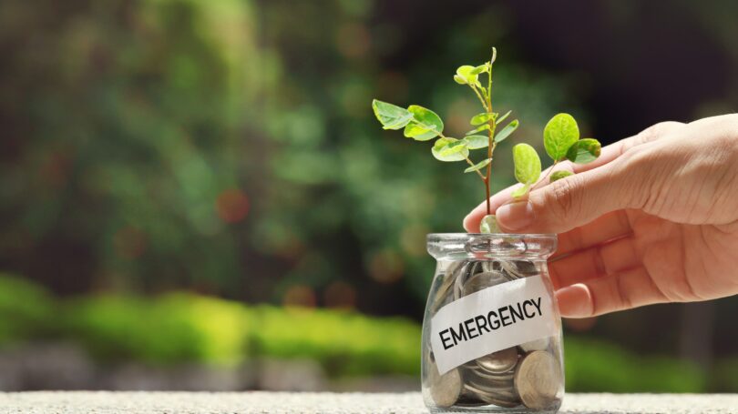 Growing Emergency Fund Plant Jar Coins