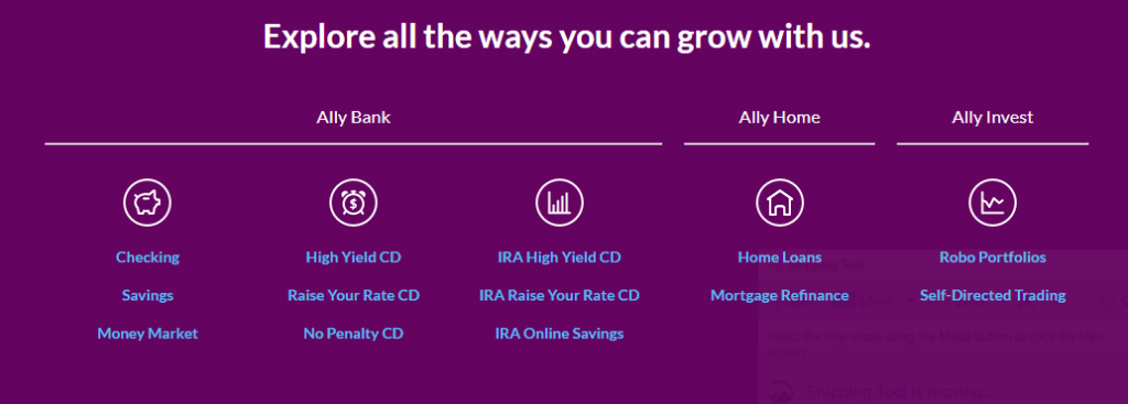 Ally Bank Account Options